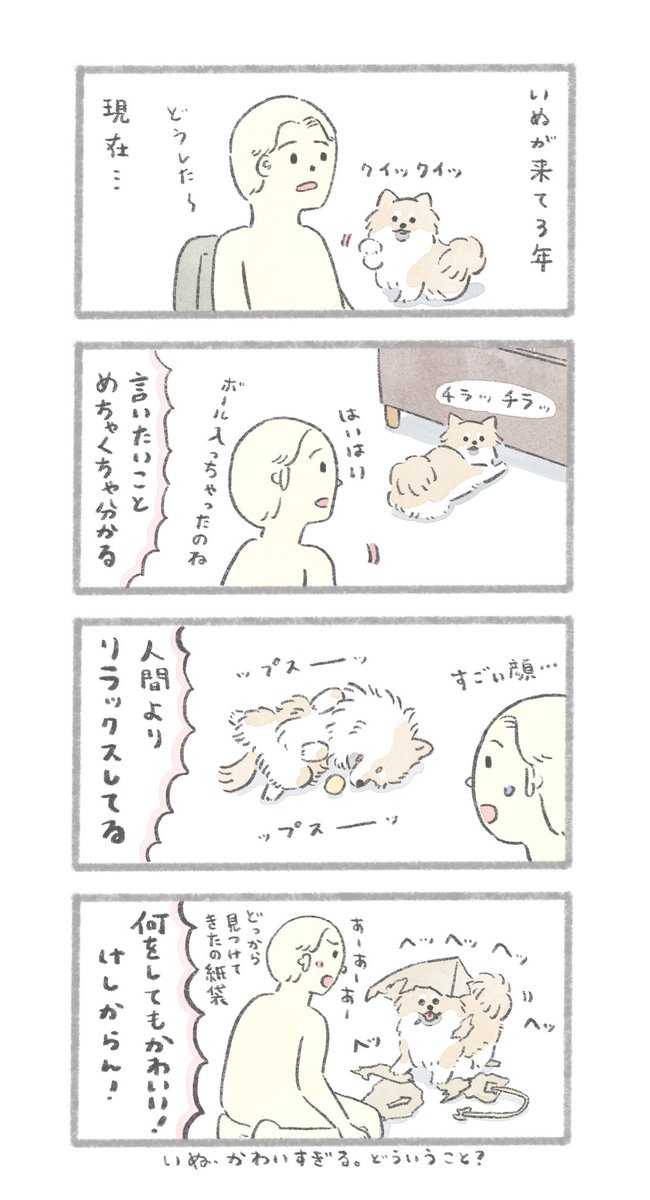 かわいすぎてけしからん! いぬ 