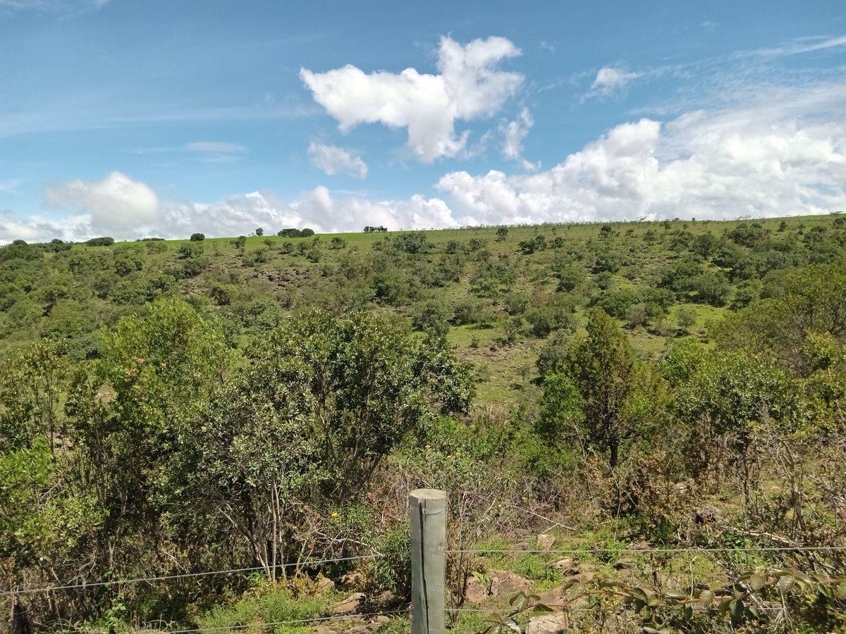 LaikipiaRanches's tweet photo. Have you ever considered creating a community of like-minded individuals, such as family, friends, or associates?

24 acres(fenced)

📍 Ethi-Timau. 

Offer:22.8M 

📞or WhatsApp 0743 505 707 https://t.co/WI02eJQHmS