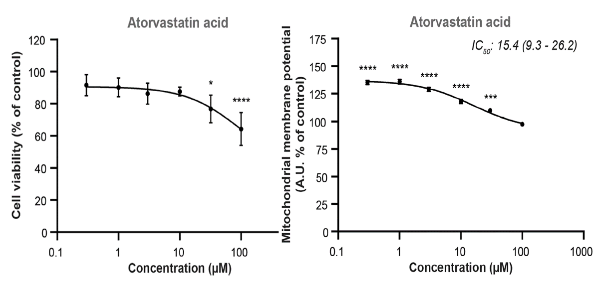 Statins reduce mitochondrial function and viability in human iPS-derived cardiomyocytes. link.springer.com/article/10.100…