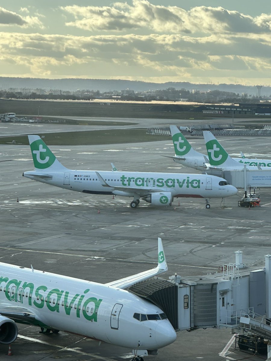 Sophie Figenwald tweet media