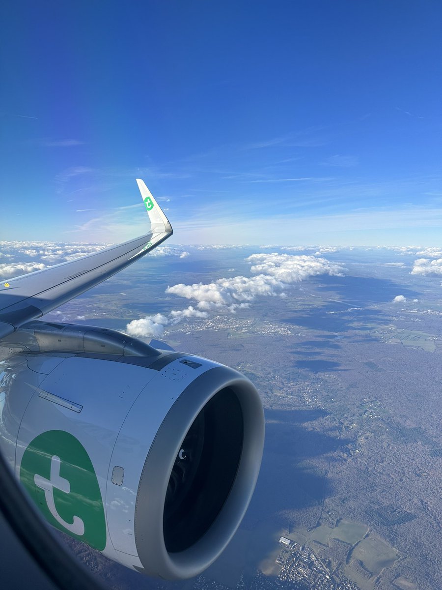 Sophie Figenwald tweet media