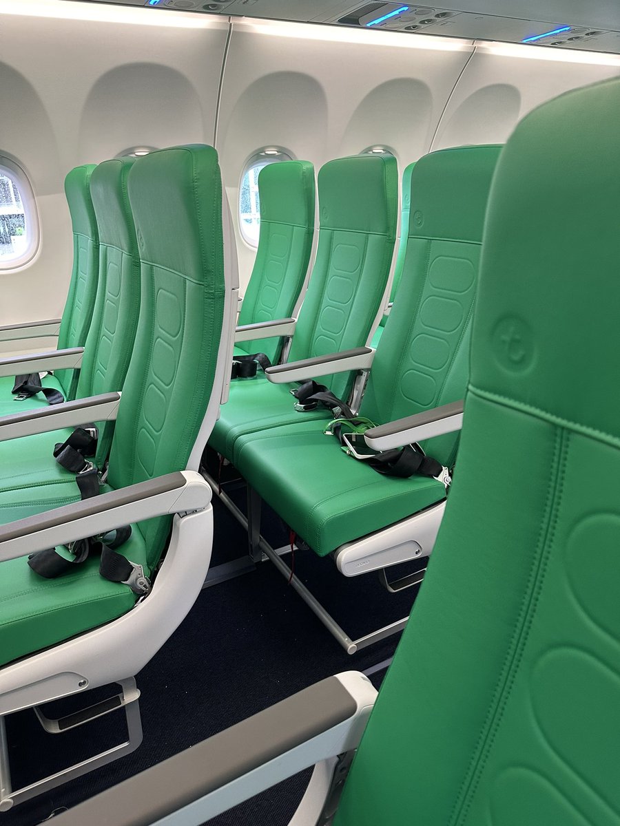 Sophie Figenwald tweet media