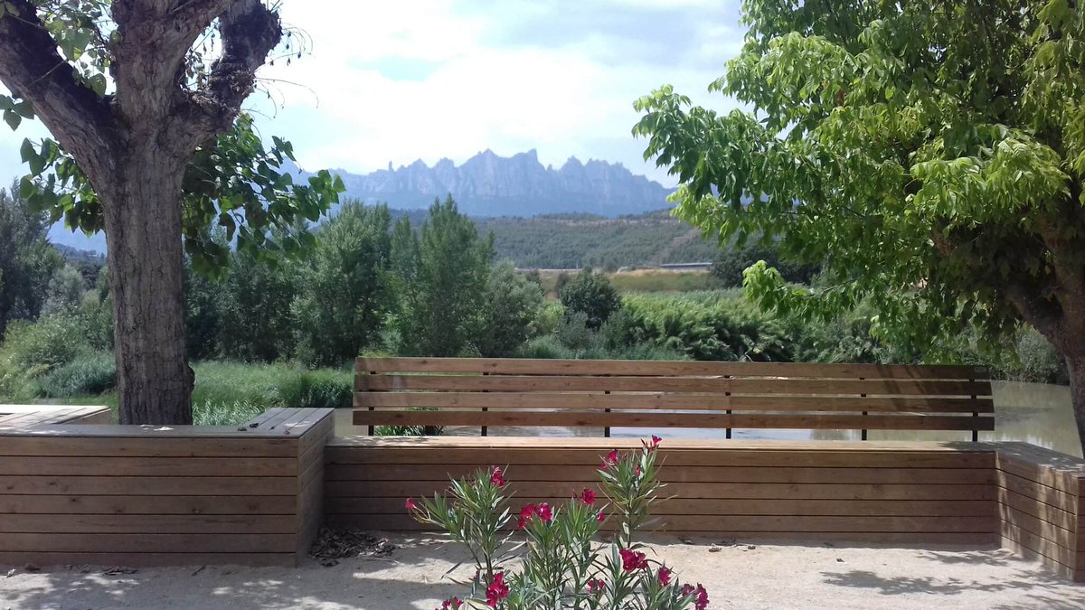 Viles Florides tweet media