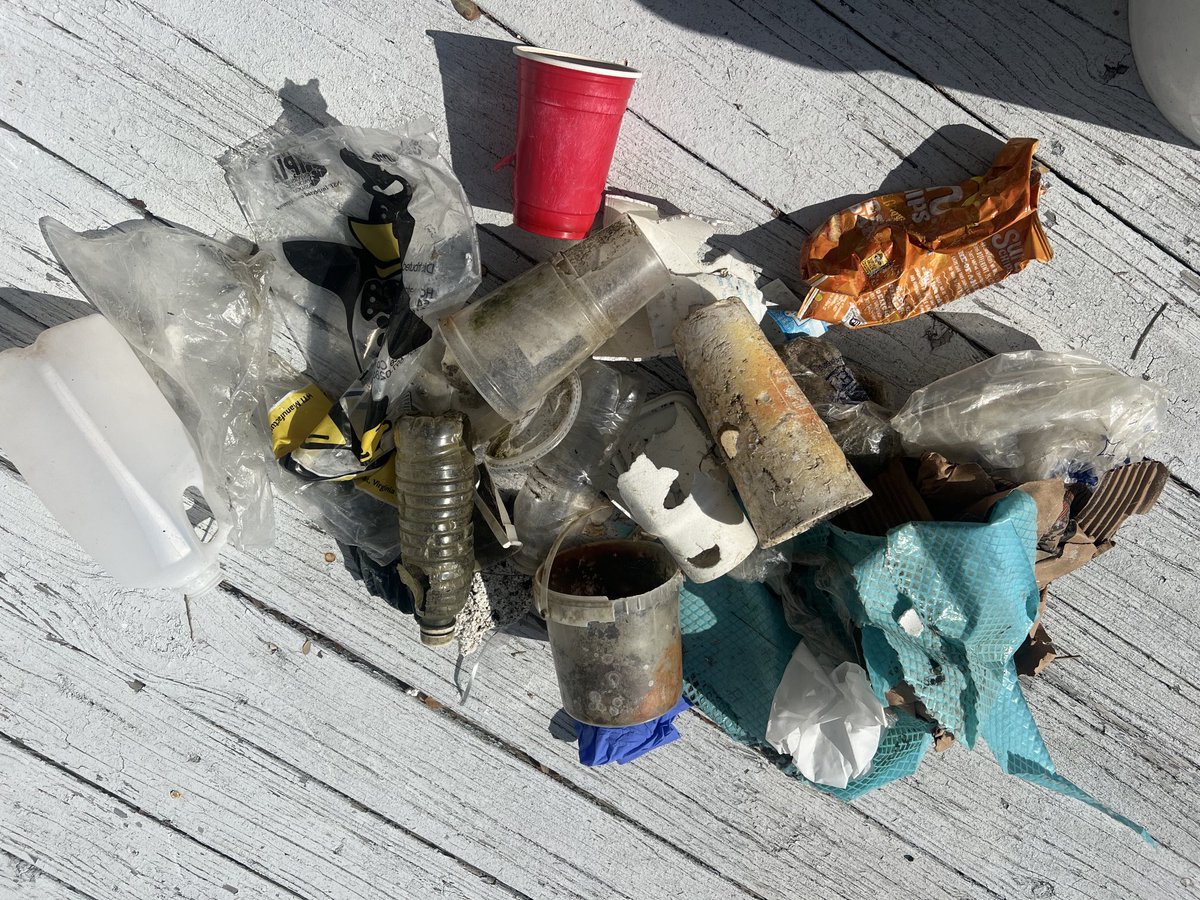 After 5 weeks of dealing with my first case of COVID, I finally felt well enough to get out for a row on the creek, which included pulling #PlasticTrash out of the marsh. We can and must do better. #ActOnClimate #BreakFreeFromPlastic ⁦@PadleOutPlastic⁩