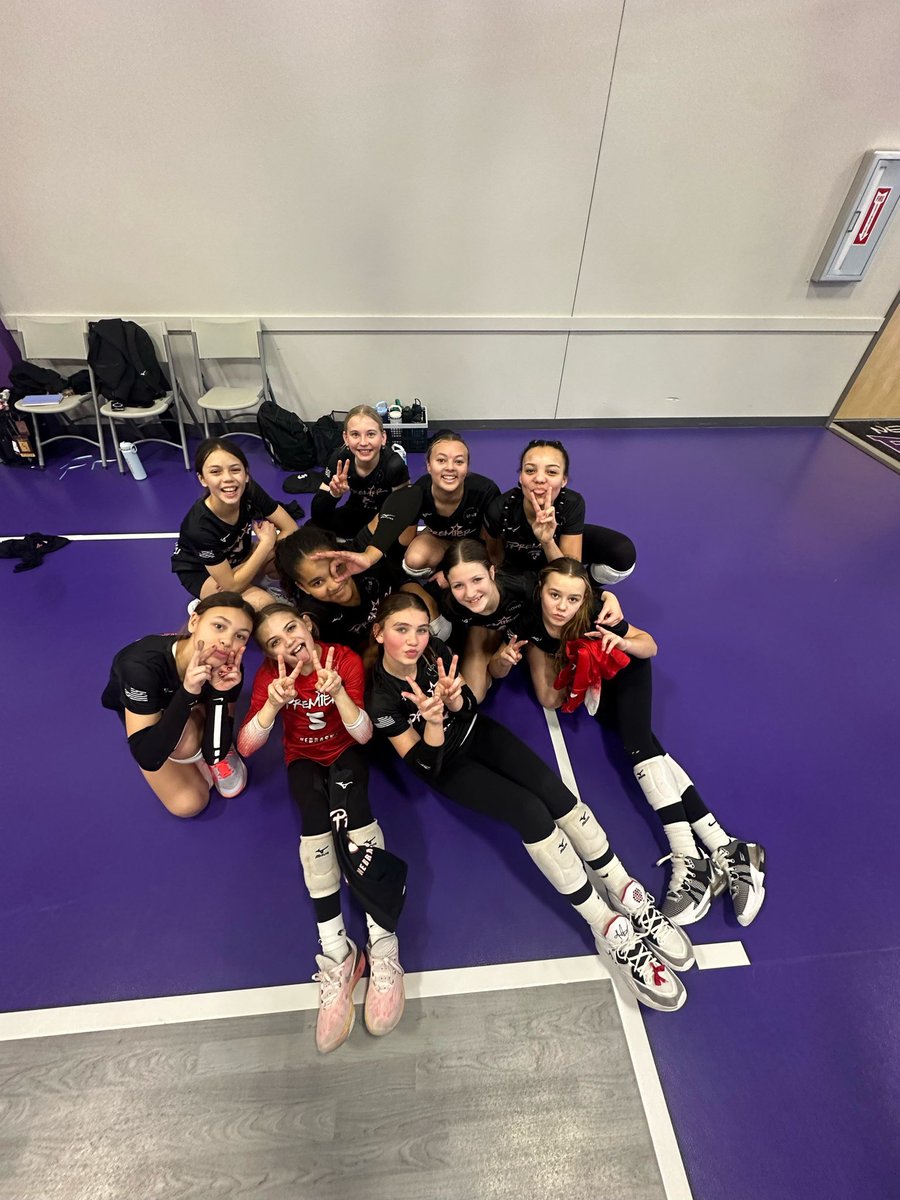 Premier 12 Gold tweet media