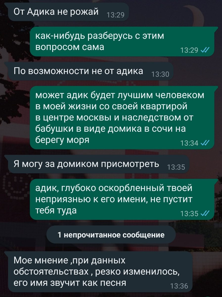 ⋆. aioon ⋆ ୨ৎ пишет диплом и негодует tweet media