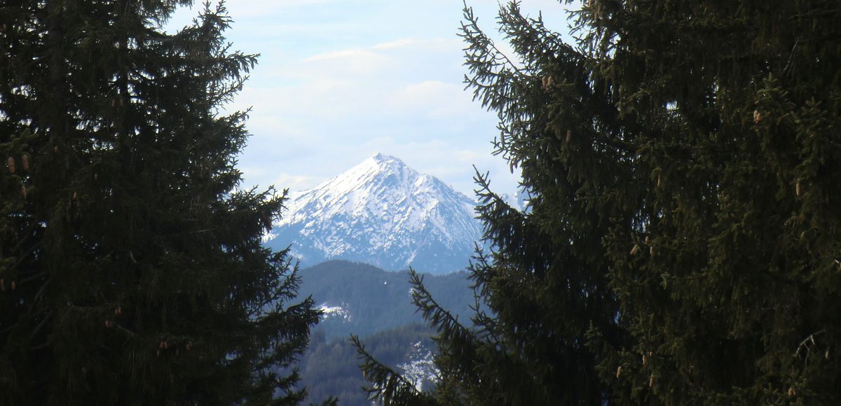 Pünklich zur Gipfelrast kommt auf dem Hochschergen 1396m die Sonne raus, Aussicht stark begrenzt 3h30 8,5km 560Hm von Unternogg