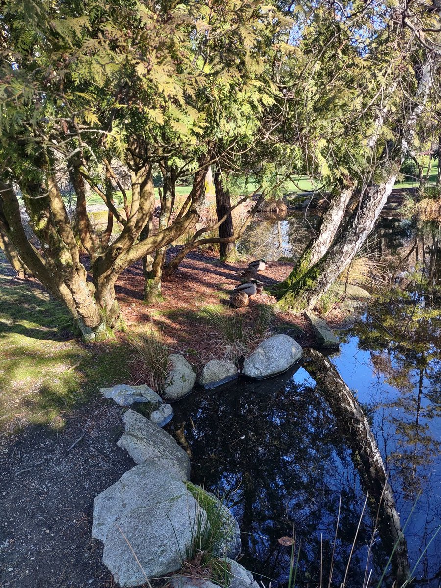 FumingMonkeys tweet media