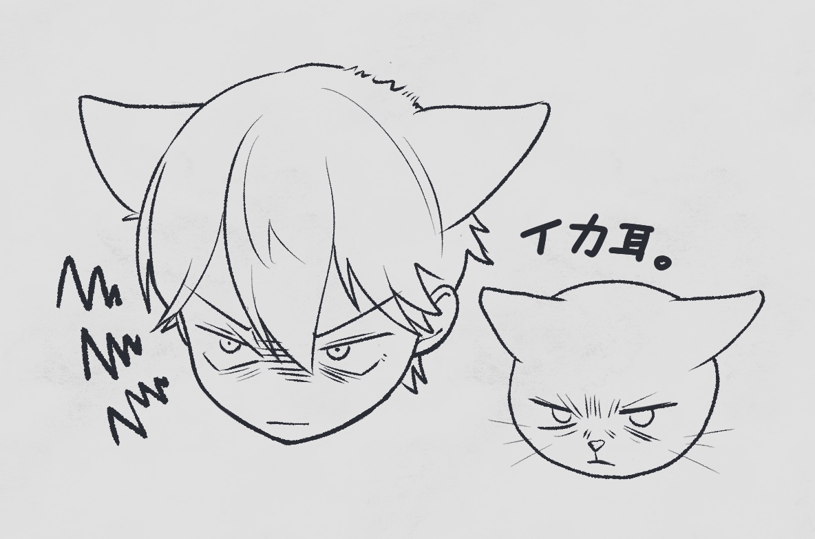怒ってる猫すこ 