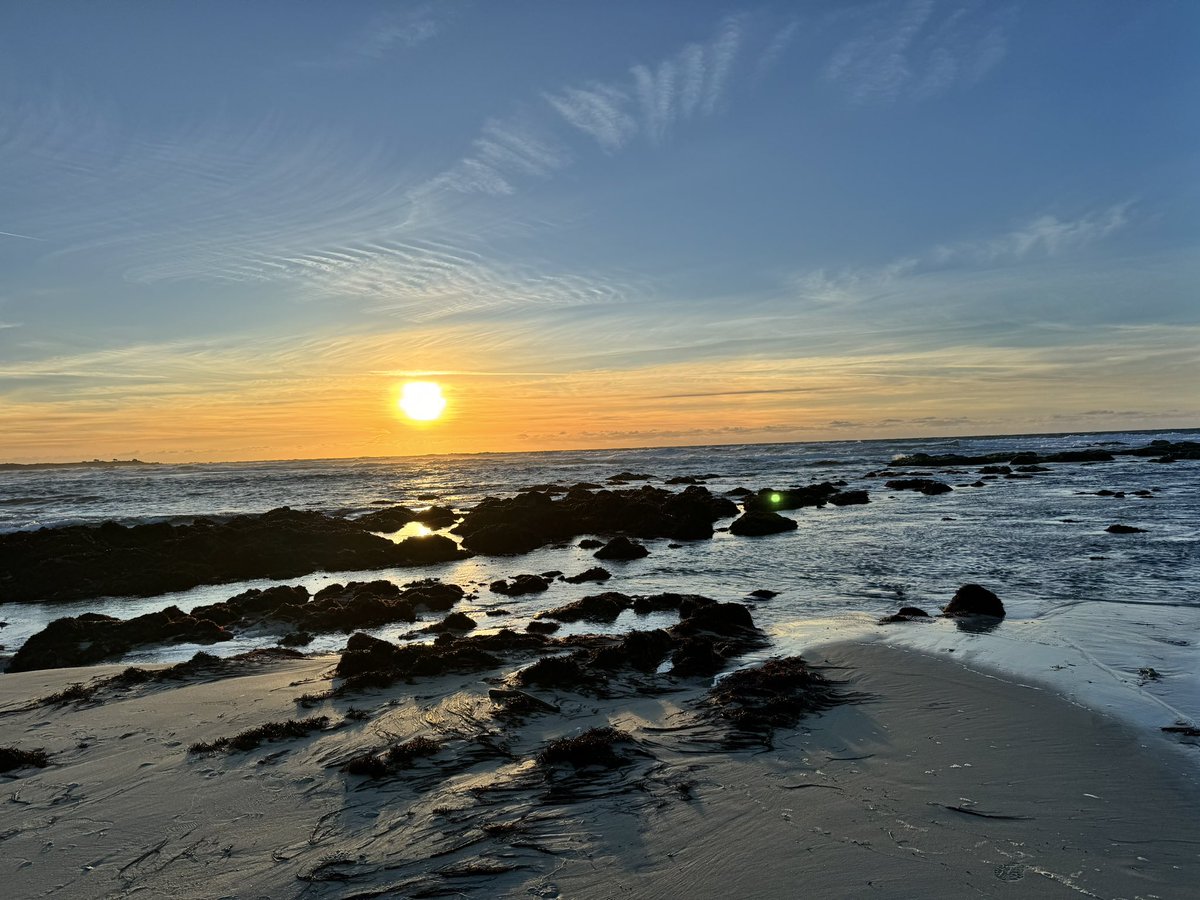 JinmingGaoLab's tweet image. Stimulating two-day discussions @ForbeckForums with thought leaders in cancer nanotechnology. Grateful to co-chair @NatalieArtzi and all attendees for an invigorating forum at beautiful Pacific Grove!