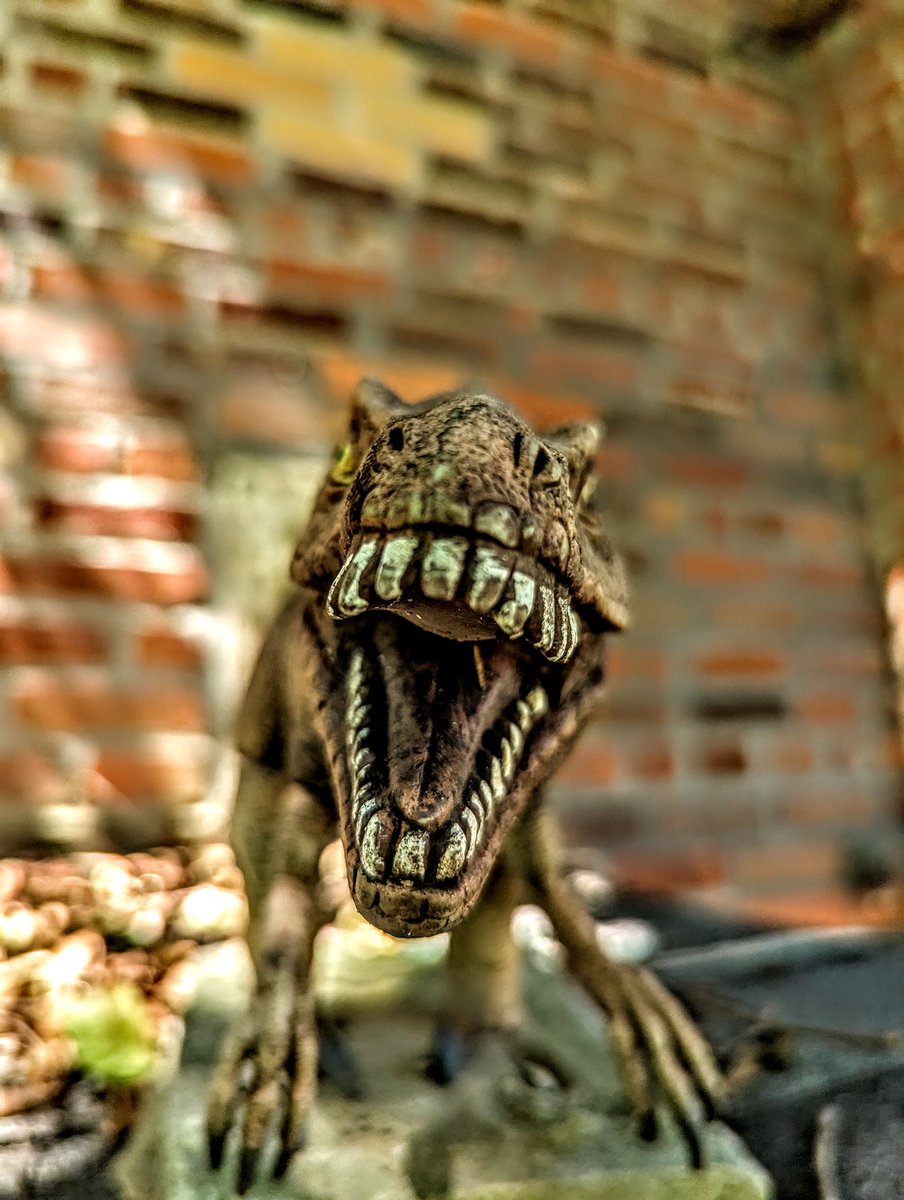 KeriButcher's tweet photo. Defending the Castle! #Dinosaurs #TRex #guardian #Castle #GreenbackCastle #toys #EastTN #freelancer #photography #picoftheday https://t.co/8MiCaEvnpX