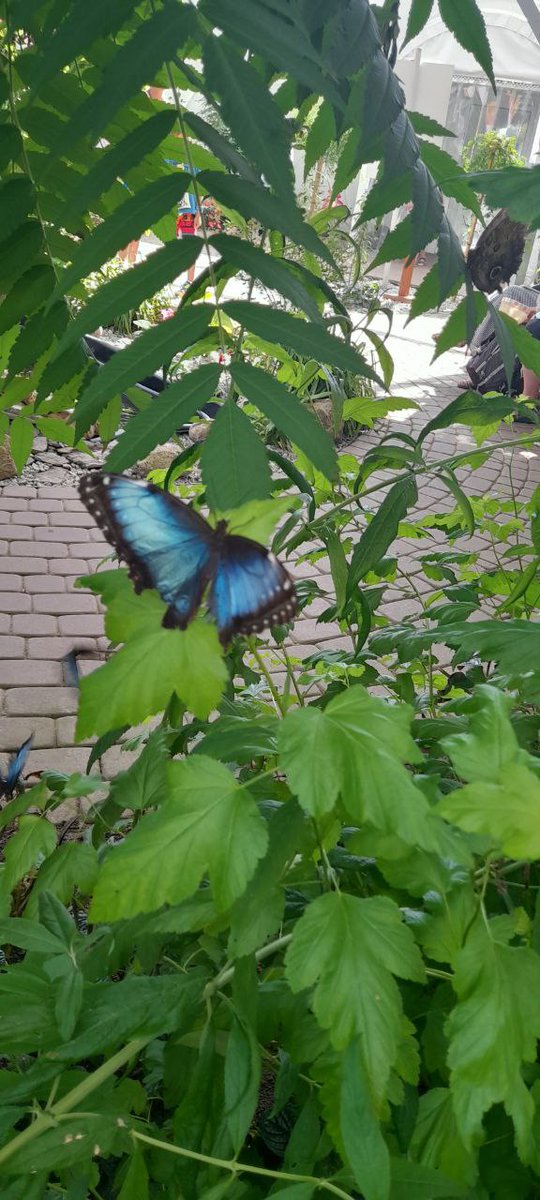 #Follow for #followback
<a href="/imranyounas2570/">imran Riaz khan</a>
<a href="/Nilda0100/">Nilda</a>
<a href="/psrimanta/">SRIMANTA CH PRAHARAJ</a> 
<a href="/GevCrypto0/">@GevCrypto0</a>
<a href="/A_aw_8/">Asjad Awan</a>
<a href="/NewsTeleC/">safa</a> 
<a href="/PSR42_/">Praveen_42</a>
<a href="/SSSE_LTD/">Something, Something, Something Else LTD</a>
<a href="/Dessy_Graphics/">Dessy Studios</a>
<a href="/macketh74/">MaCk.Eth  𝕏</a>
<a href="/cknlaw1/">🌐ニシ🍥⚖️</a>
<a href="/naseemgulmir/">Naseem Gul Mir</a>
<a href="/MajidBu17136071/">Majid Butt Kharian</a>
<a href="/batangunluk/">garip garip 🩷💐</a>
<a href="/Judeowez/">JUDE LIGHT</a>
@nelsongraphics_
<a href="/sm5gp/">أبو عبدالله</a>
<a href="/aiaisuidou0128/">アイアイ水道センター</a>
<a href="/araaam099a/">A,Raam , choudhry</a>
<a href="/zydahmdmdhsh/">زيدأحمدمدهش الشوافي</a>
<a href="/FussiliM/">Crypto Fussili</a>