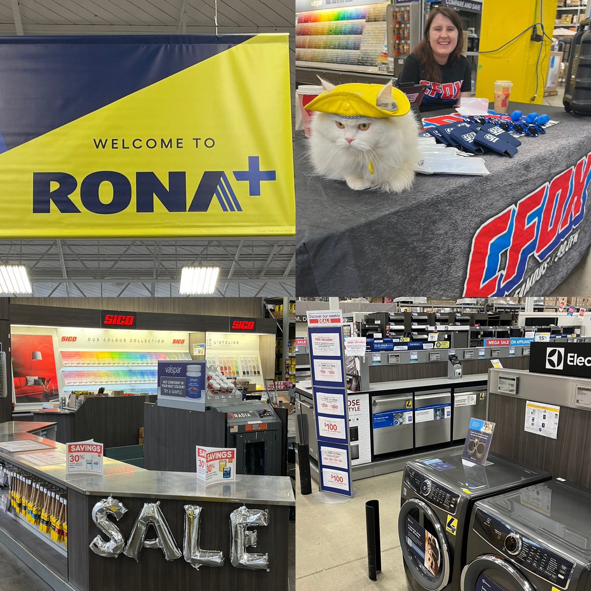 CFOXvan's tweet photo. @TheCarmenCruz is hanging out with the #CFOX street team at the #Grandview @Lowes_Canada location for their #BuyMoreSaveMore sale, and local celebrity #Mittens the kitten stopped by! 😍 
The sale runs until Feb 14th with a MASSIVE grand reopening on Feb 25th!!! See You There! https://t.co/mQDuwPn4RX