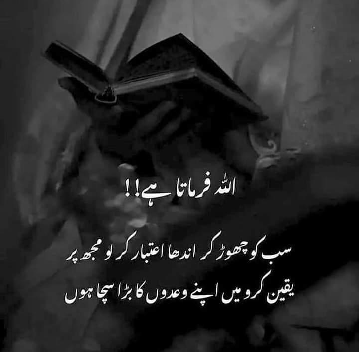 Nailarosey's tweet photo. Beshak https://t.co/6vpvDBqfZO