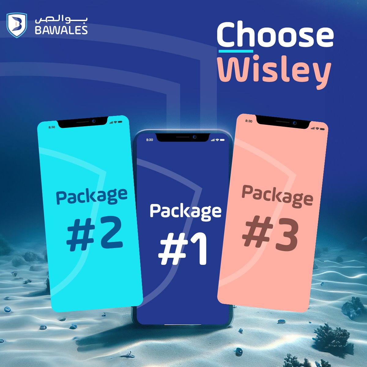 🌊Dive deep into a sea of coverage options with Bawales. Choose wisely, and ensure confidently! 🧳 #Bawales #InsuranceChoices #ChooseWisely #Insurance