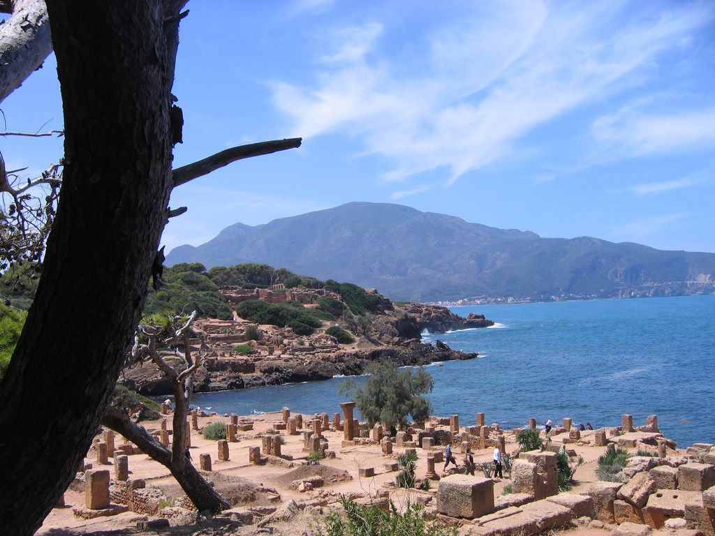 maelassal's tweet photo. #Tipasa, dans la wilaya de Tipaza 🇩🇿
#Timgad, antique Thamugadi, dans la wilaya de Batna 🇩🇿
#Djemila antique Cuicul, dans la wilaya de Sétif (Sitifis) 🇩🇿
#Madaure, antique Madauros, dans la wilaya de Souk Ahras (Thagaste) 🇩🇿
Patrimoine mondial #Unesco
#Algérie
#الجزائر https://t.co/VkdiSvNch9