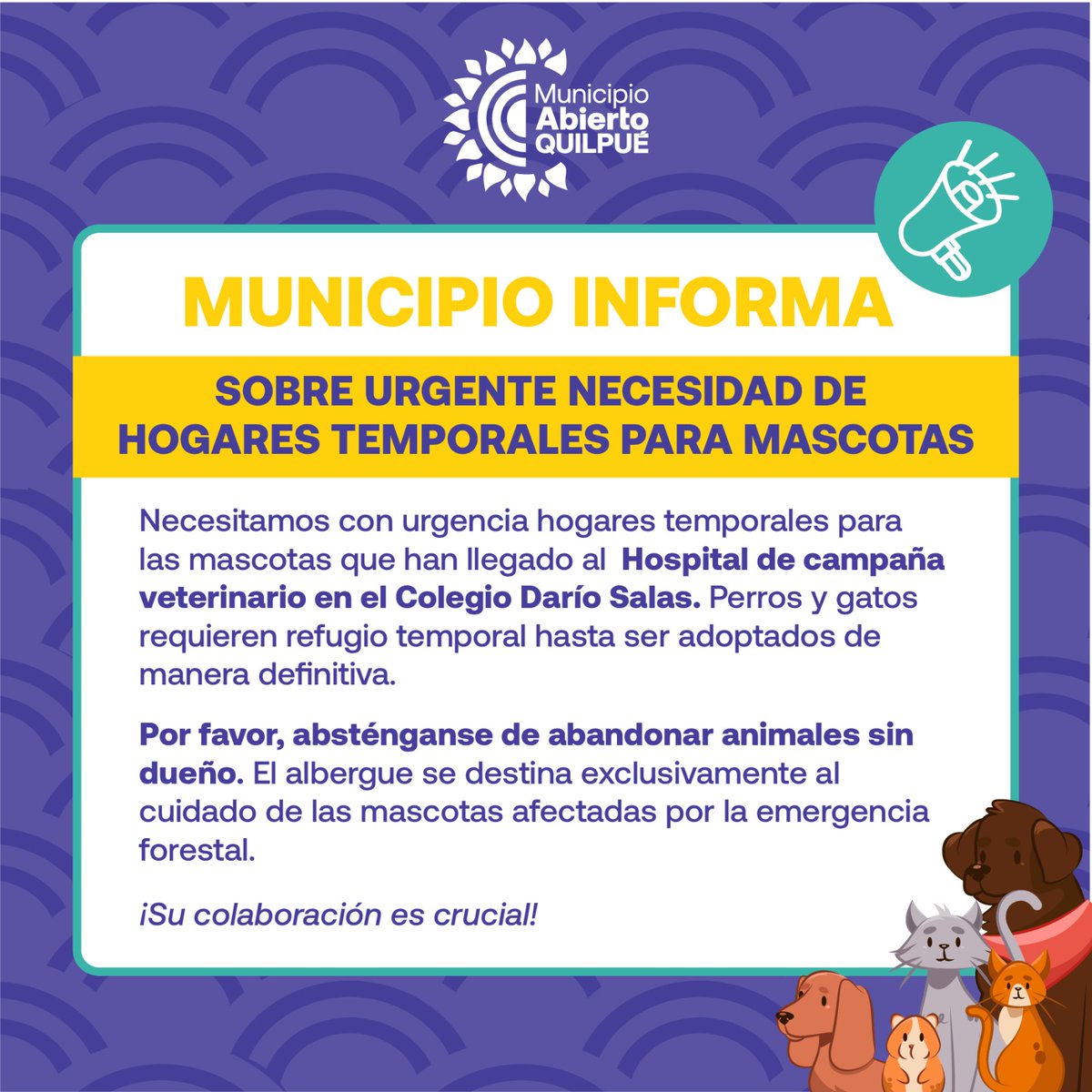 muni_quilpue's tweet photo. Necesidad urgente de hogares temporales para mascotas. Esto para las mascotas que han llegado al Hospital de Campaña Veterinario ubicado en el Colegio Darío Salas.

Inscríbete en el siguiente link:

https://t.co/i4Jpif8sej https://t.co/aDx8C7xNbH