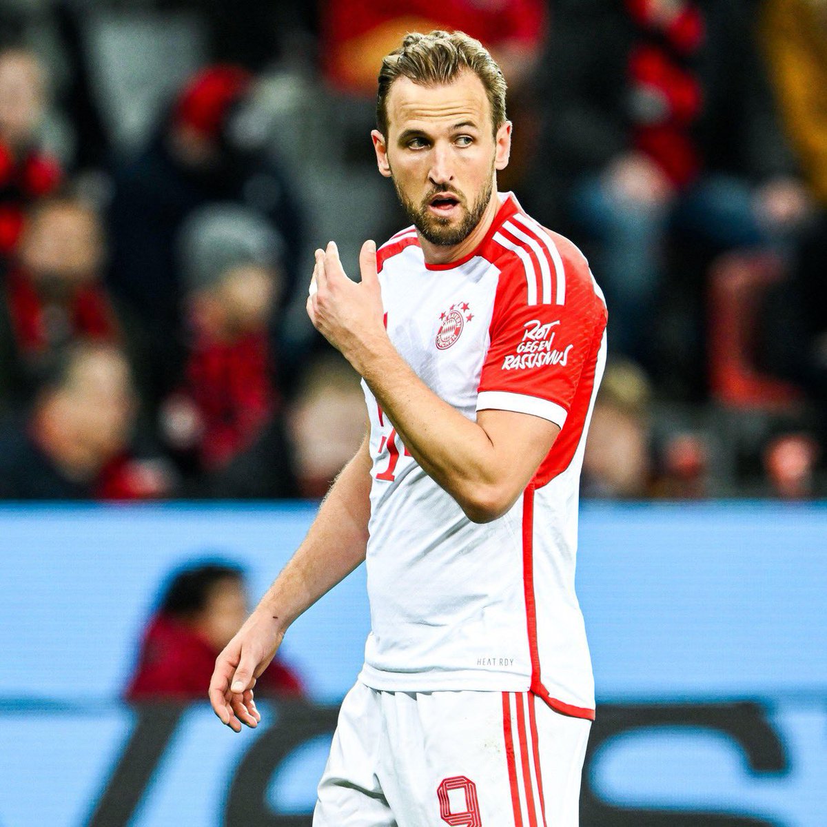 عمرو tweet media