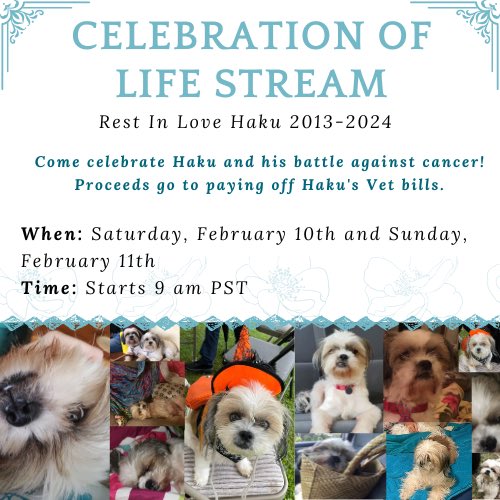 BubblesWailoa's tweet photo. In a couple hrs I'll be starting my celebration of life stream for Haku💙

On my twitch AllBubblesPop

#restinlove #Vtuber #animal https://t.co/4b00zMLUrJ