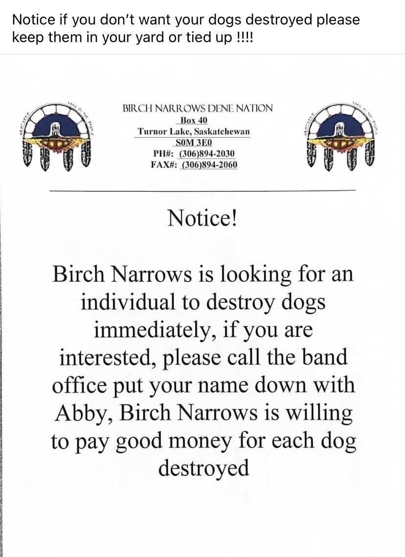 saverezdogs tweet media