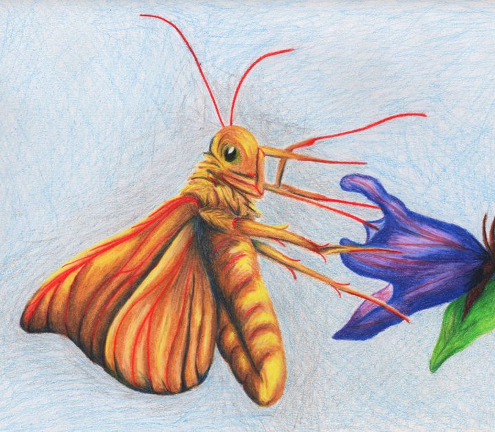 stephananny79's tweet photo. Art of the Day: "Yellow Moth". Buy at: https://t.co/1C9xmMnUBH https://t.co/LRglzvgKOM