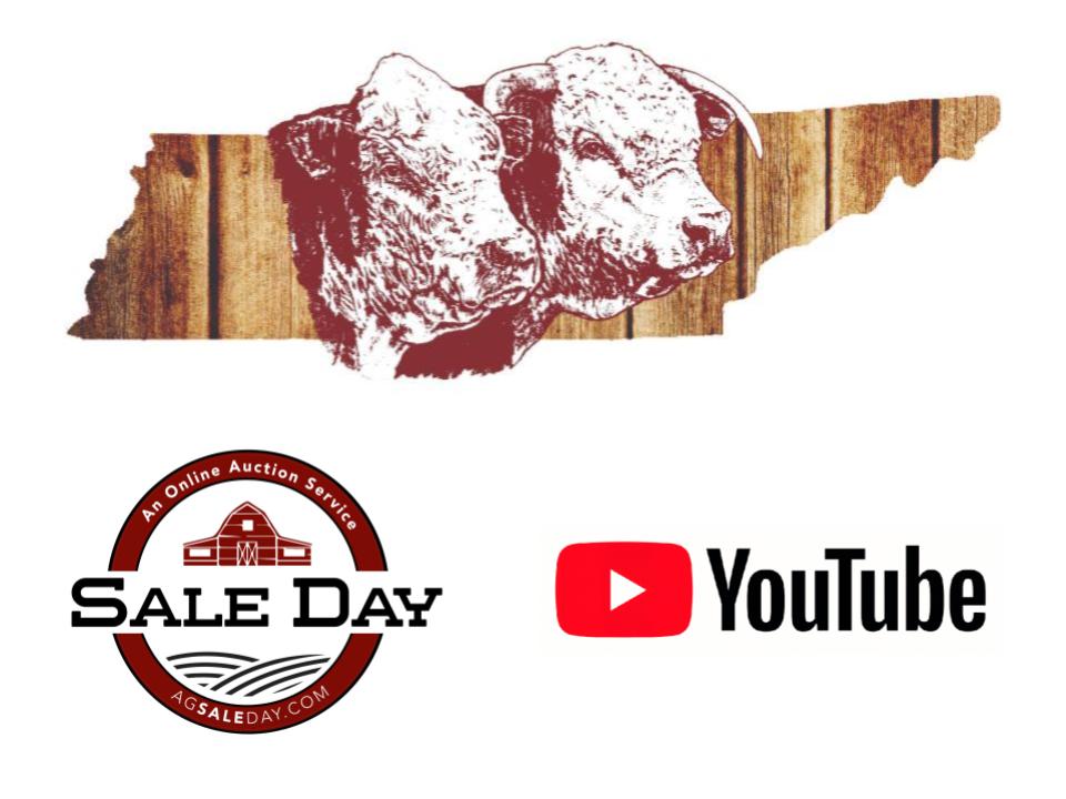 tnhereford's tweet photo. Agribition consignors! Be sure to check your email for an important reminder about submitting videos of your Agribition lots. Once videos are submitted, edited, and uploaded, they will be available via YouTube and the Ag Sale Day website/app. https://t.co/yuTmXgG5qq