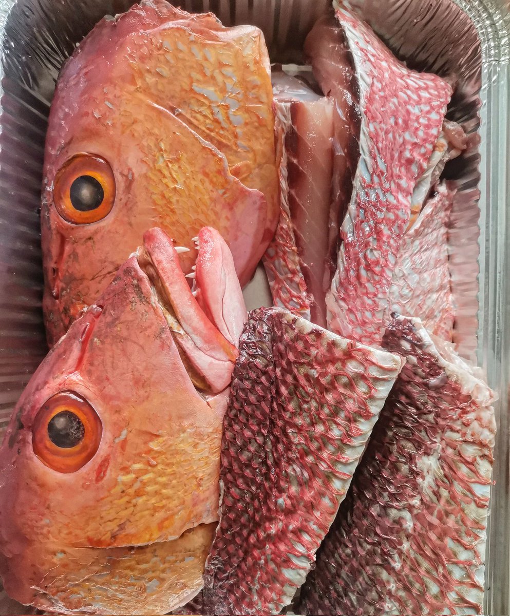 shaahid_96's tweet image. #raimas hoadhan @fishclub_MV 🐟 ☎️ 754-9696 #ungoofaarufishclub 🐬