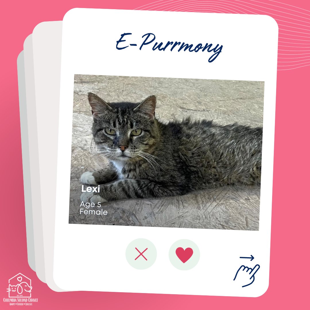 Columbia2Chance's tweet photo. Lexi is still searching for her forever home, and she is now part of our special! https://t.co/mcstg0285K