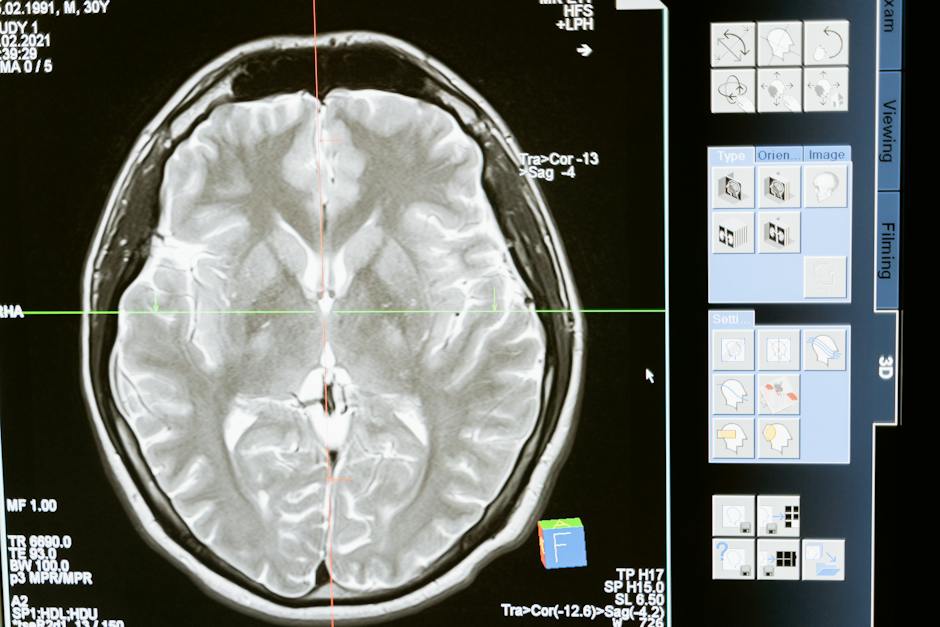 RedescubreLaEM's tweet photo. 🧠La neuroplasticidad es la capacidad del sistema nervioso para modificar y reorganizar la red de conexiones del cerebro. Hoy sabemos que es posible trabajar esta plasticidad neuronal. Por ejemplo, con la estimulación cognitiva o la actividad física.

Consulta a tu especialista. https://t.co/XlXAhReHZ4