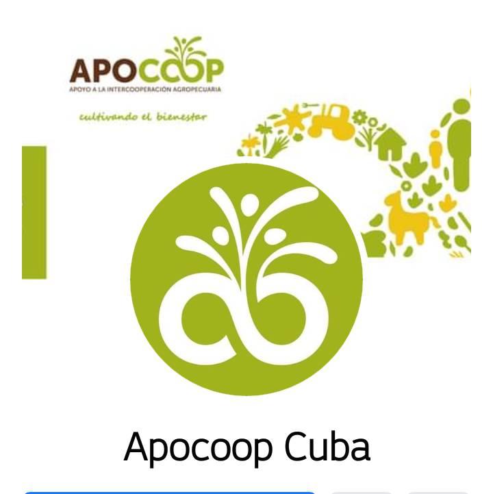 RolandoDomenech's tweet photo. Rolando García 
@RolandoDomenech
@RafaelAnap
#AnapCuba
💧Desde la cooperativa de producción agropecuaria Alianza Obrero Campesina, en el municipio de Amancio, nos llegan estas imágenes de la puesta en marcha de recursos entregados por #APOCOOP #ANAP. https://t.co/BzfW9wRmvG