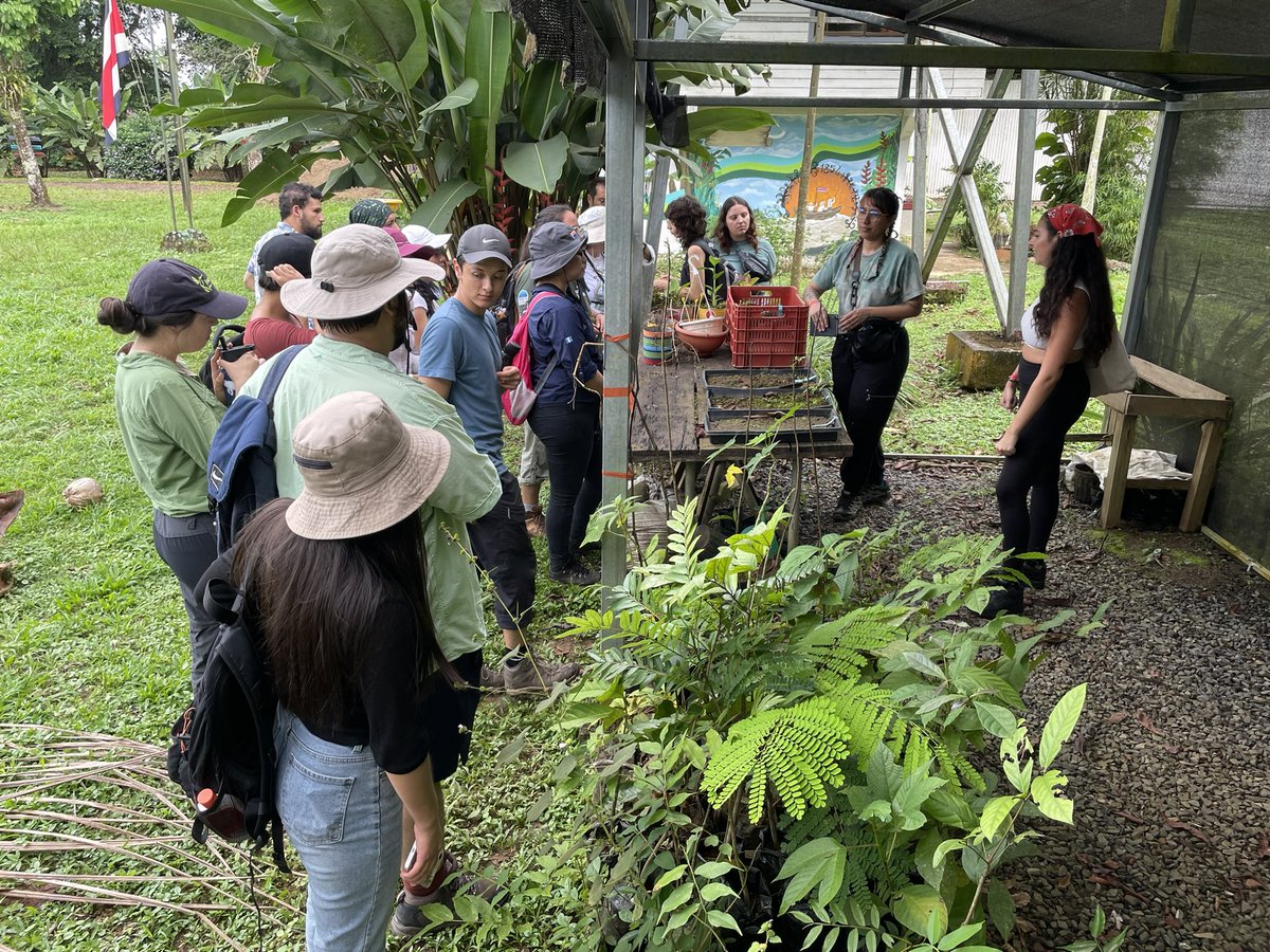 Ignacio Escalante tweet media