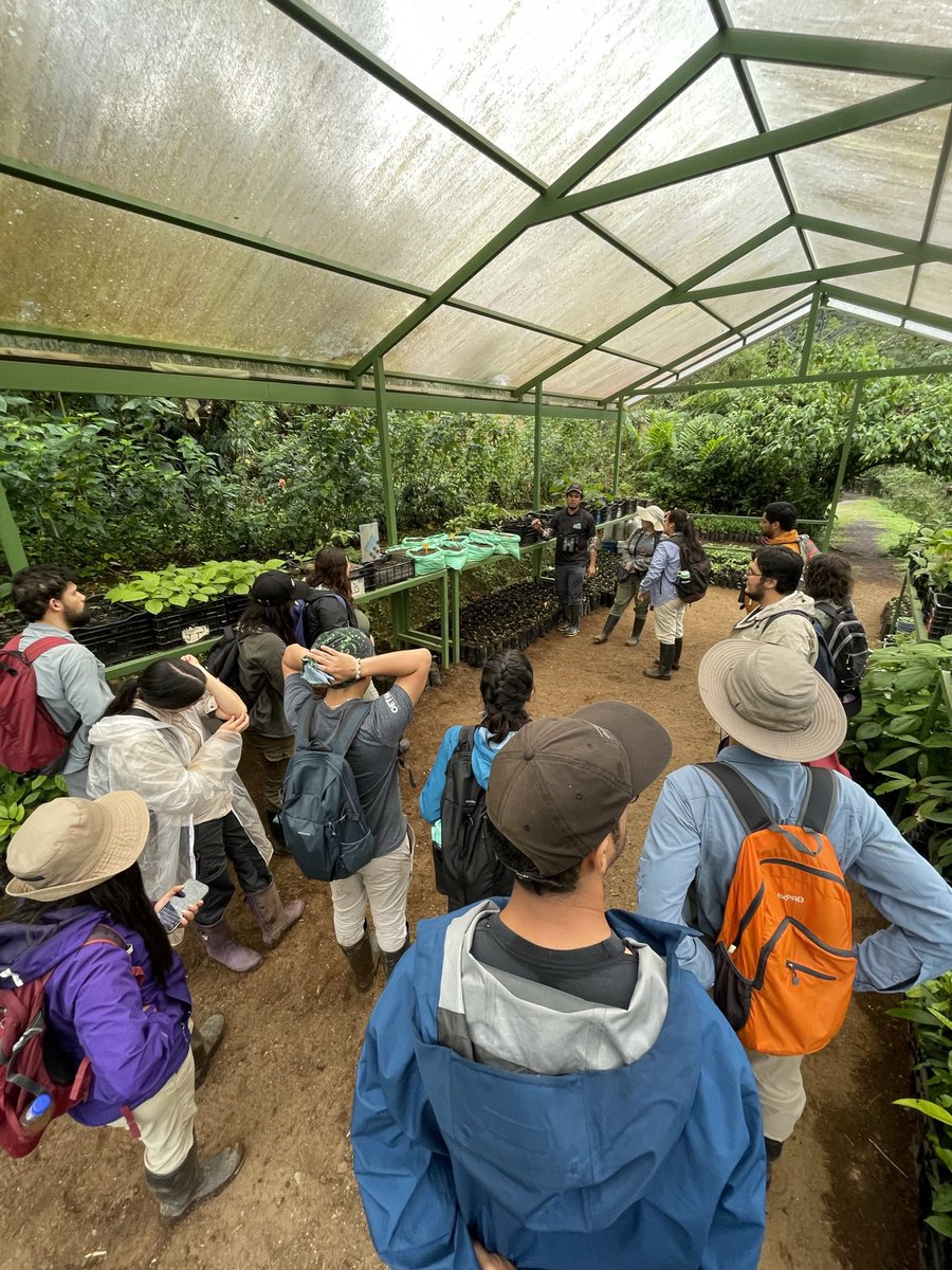 Ignacio Escalante tweet media