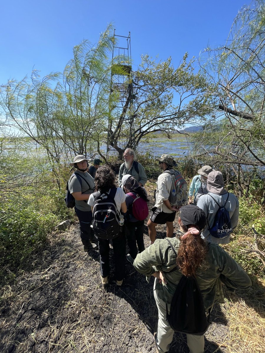 Ignacio Escalante tweet media