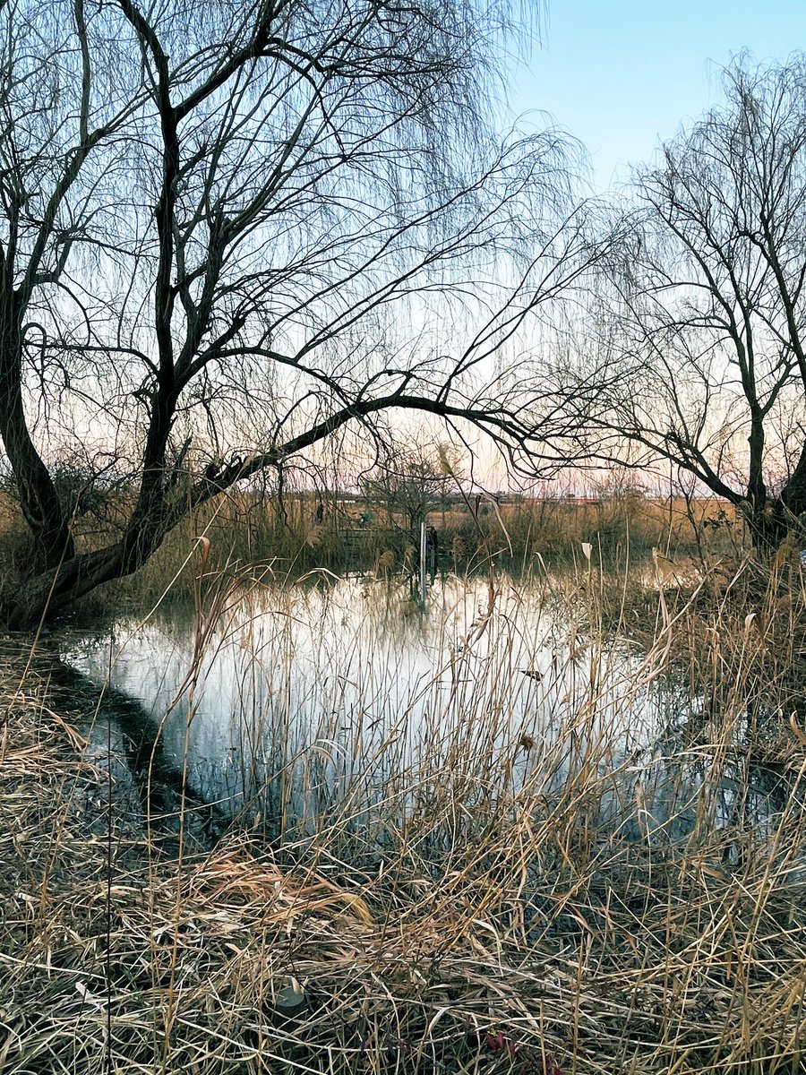 LyfInTransit's tweet photo. Frames from my walking trails in Tokyo, a mega city of over 100 rivers!
#magicOfTokyo https://t.co/NYeVNF0SrO