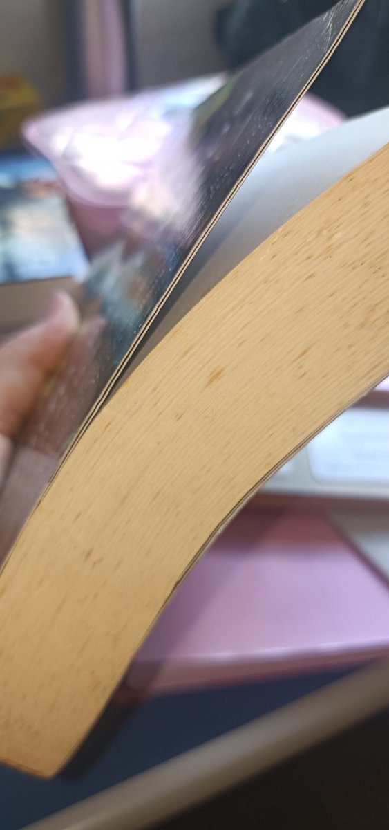 lovscarlsen's tweet image. eu tinha um livro manchado, uma lixa de unha e um sonho