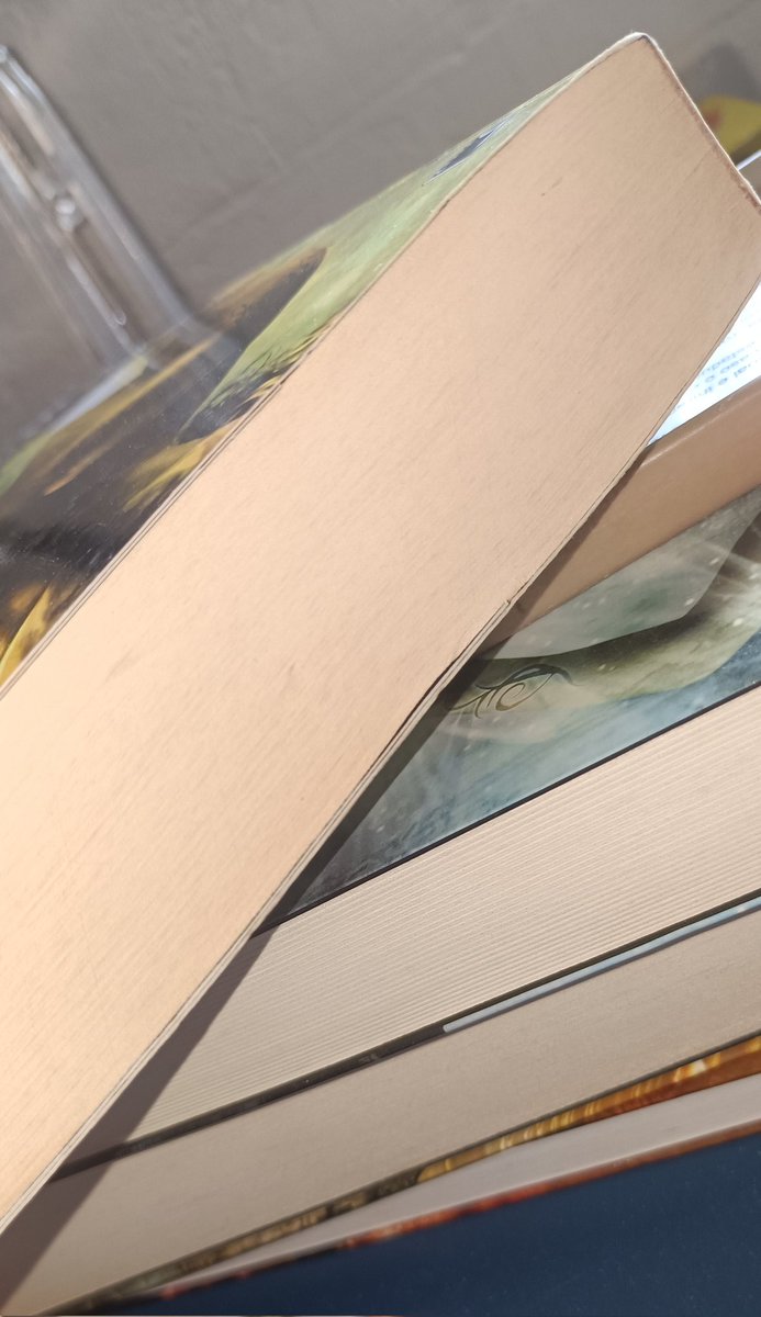 lovscarlsen's tweet image. eu tinha um livro manchado, uma lixa de unha e um sonho