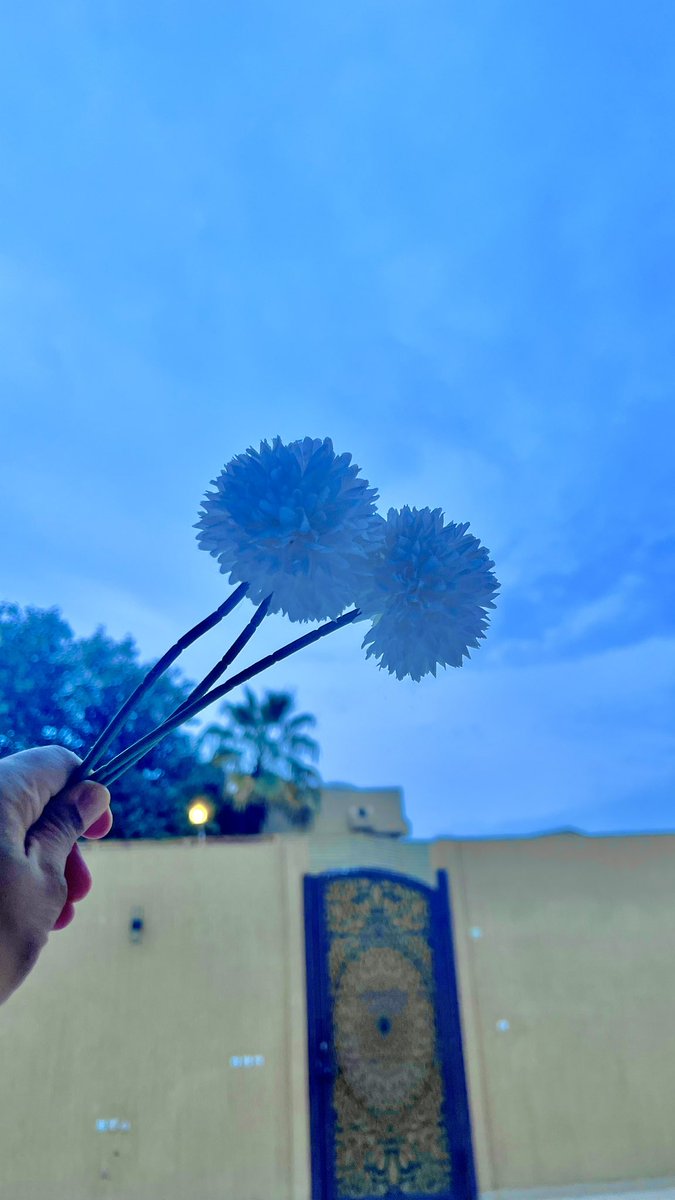 من لا يكتفي بك لا يستحقك..