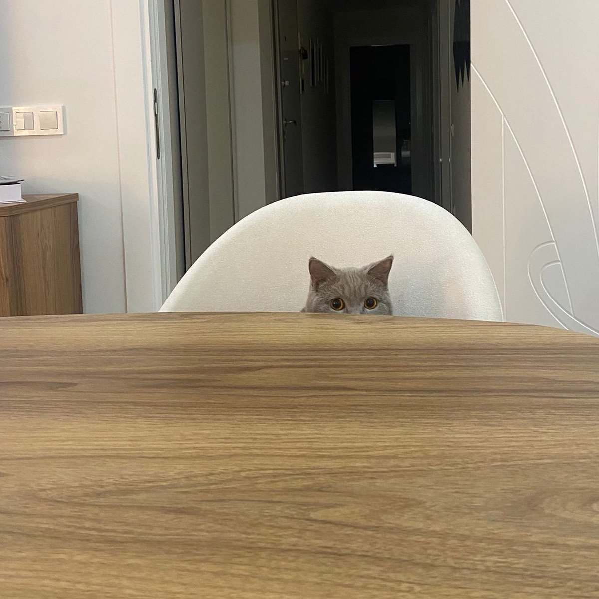 anlat canım dinliyorm