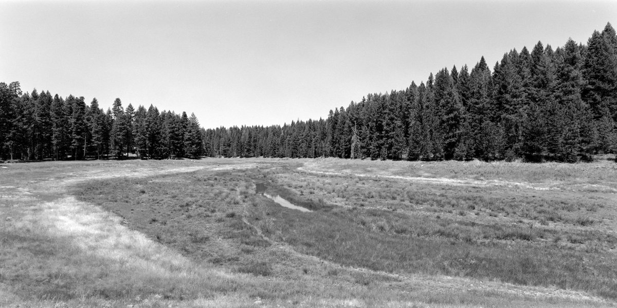 Mark Phillips - @vphill@digipres.club tweet media