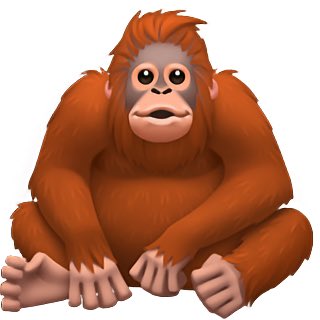 meixedo🐍 (@meixedoj) on Twitter photo 