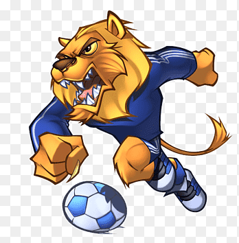 SproatleyJnrs's tweet photo. ⚽️@sproatleyjnrs lions U7s are looking for a couple of additional Year 2 players for Phase 2 of Hull Boys Mini Soccer. 

Training Sessions are Free at Soccer Kings Indoor 3G every Mondays 5pm to 6  everyone is welcome. 
Turn up &amp; play. Fun games , Skills https://t.co/4JoNYd2j9M