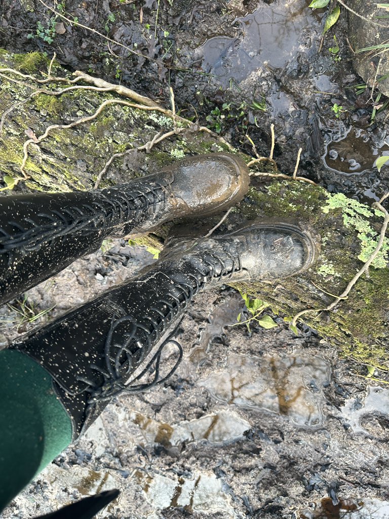 Hello all! I am still around doing all sorts of planty things but I’ve been taking (and will probably keep taking) a little break off of Twitter while I deal with some very exciting and scary new life changes