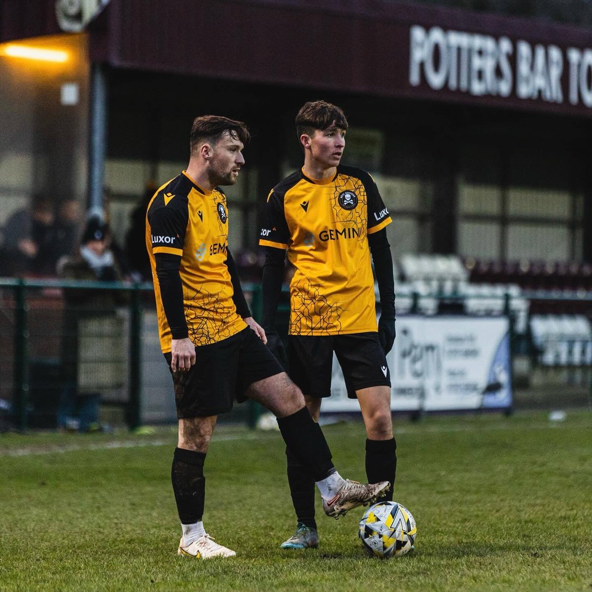 TFW you show your normie friends your crypto portfolio…