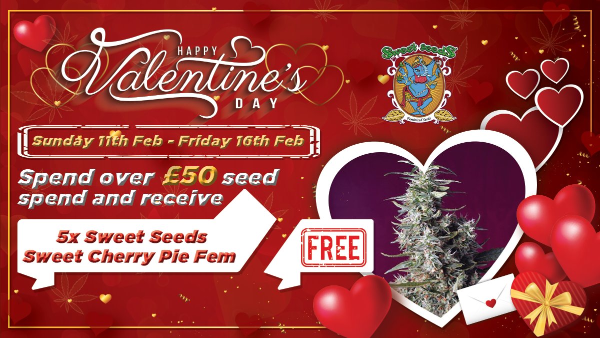 SensibleSeeds's tweet image. sensibleseeds.com/sweet-seeds/
#SensibleSeeds
#CannabisSeeds
#feminizedseeds
#sweetseeds
#ValentinesGifts
#ValentinesDay
#freeseeds
#sweetcherrypie
#ValentinesPromo
#LovelyDiscounts
#BuyNow
#ValentinesBargains
#SweetHarvest
#GiftsWithLove
#lovespecialoffers
#romanticoffers