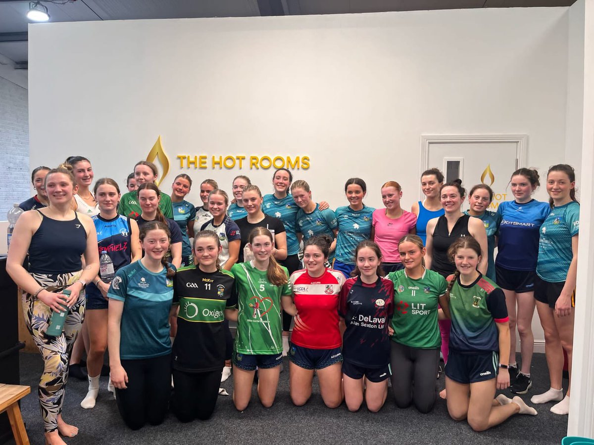 Limerick Camogie tweet media