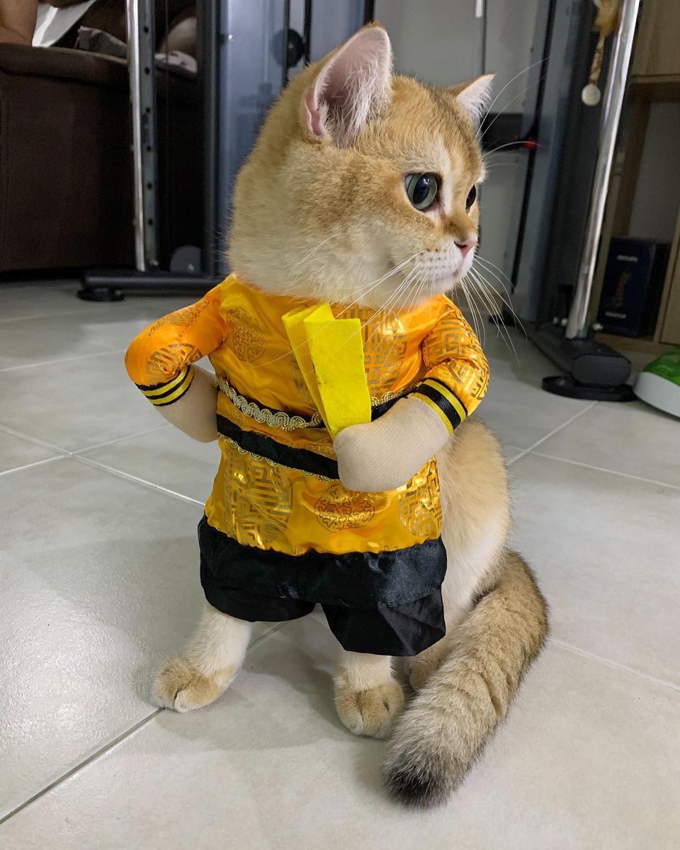 gianclairey's tweet photo. ©️hazardisacat - IG
@gulfkanawut
#GulfKanawut https://t.co/ssT7P1iDJZ