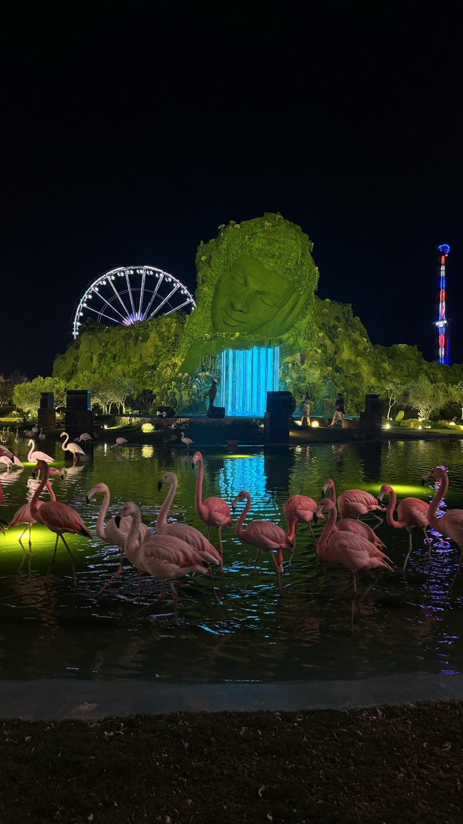 _IBU2's tweet image. Wender garden 🌺🌳☃️