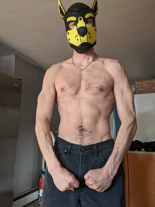 Happy Saturday. This pup slept well today after a solid work week. Time to run errands. https://t.co