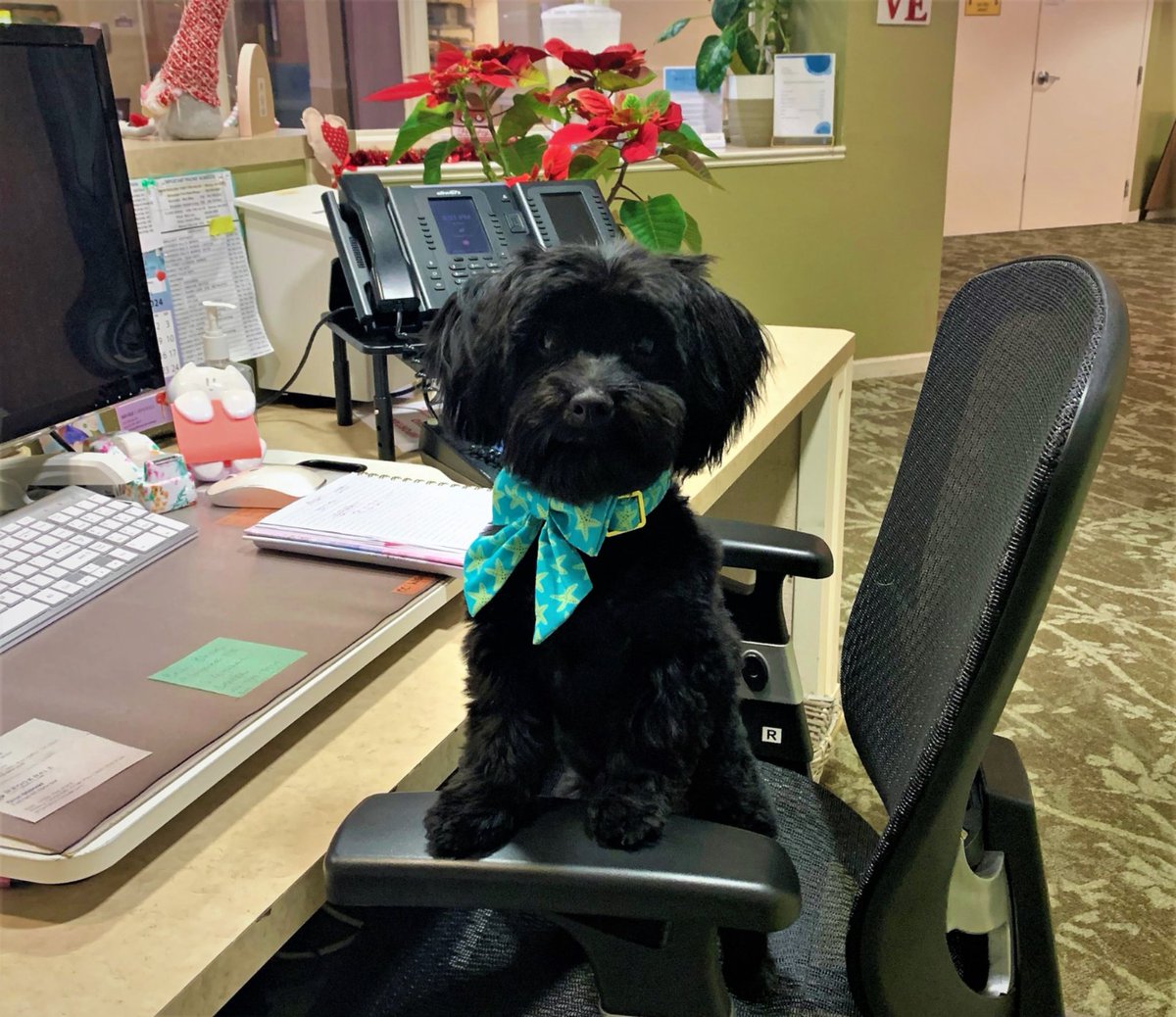 BrookdaleLiving tweet media