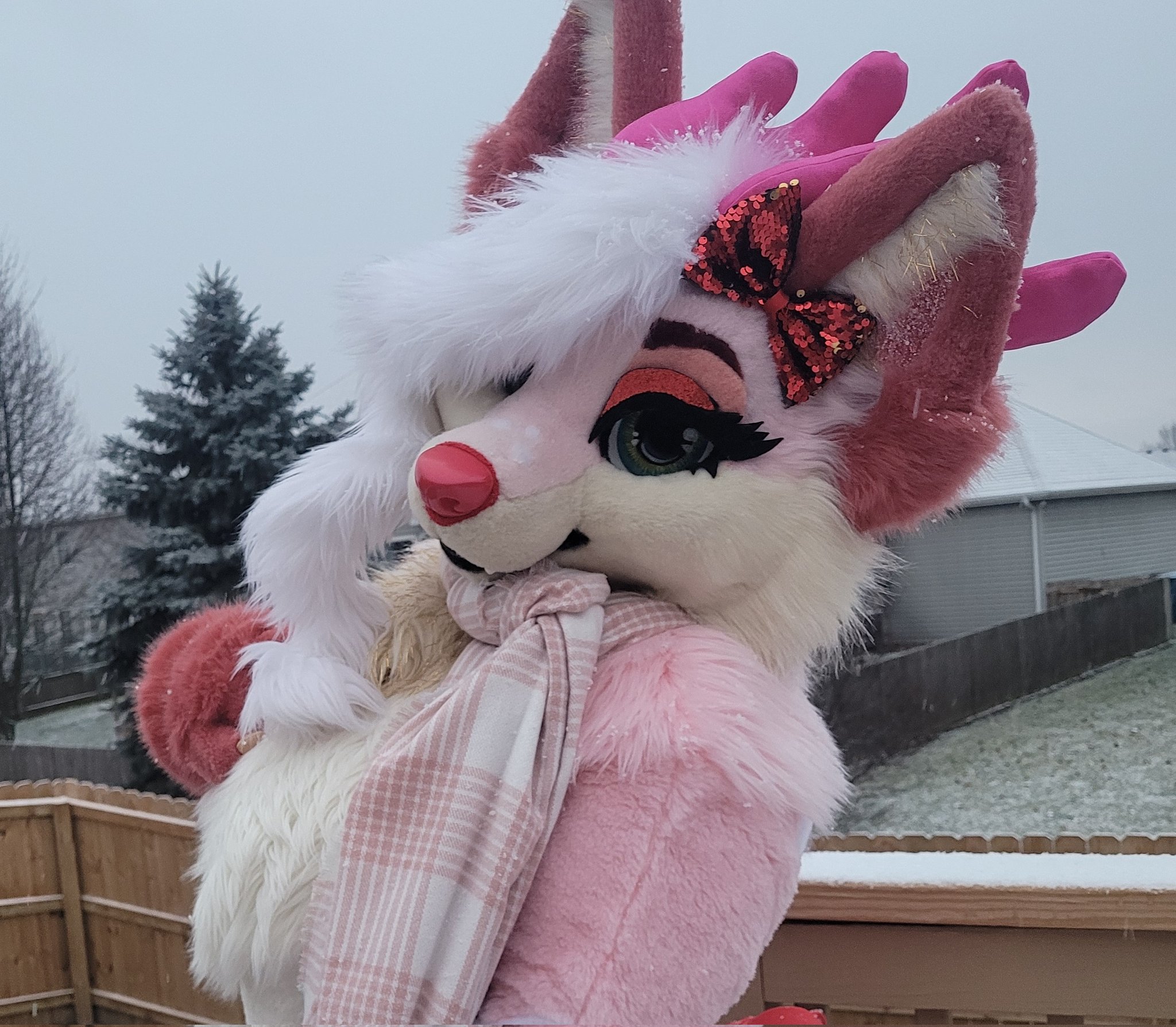 Anthrocon 2025 Scheduled Penni Blakeley